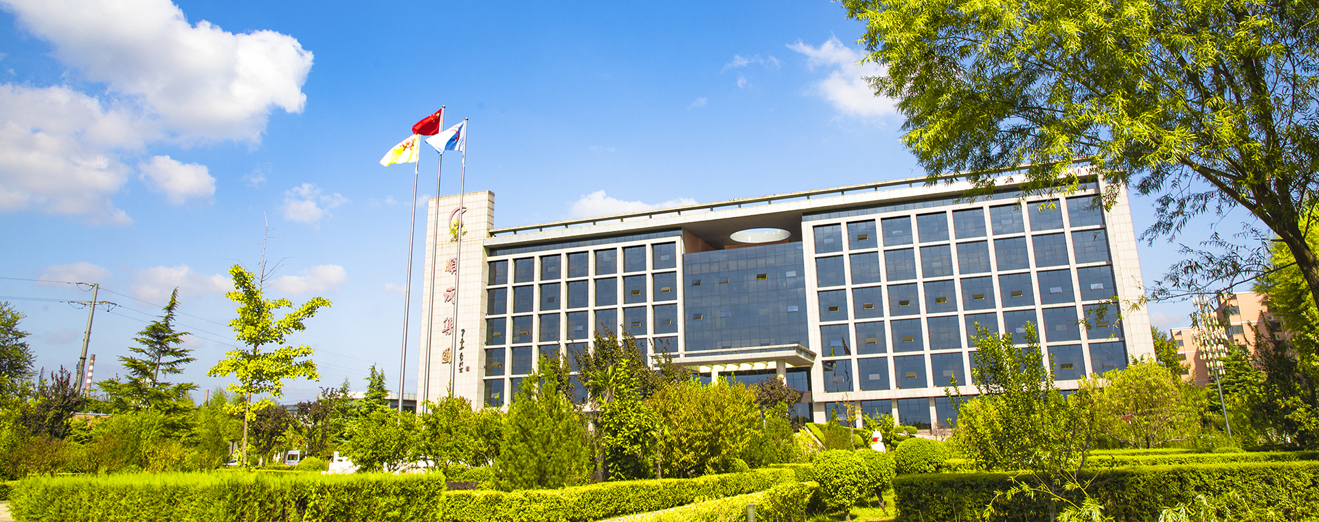 俏丽J9集团